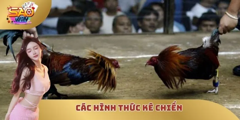 Các hình thức kê chiến