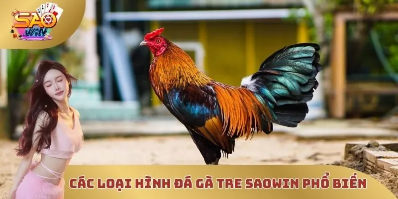 Các loại hình đá gà tre SAOWIN phổ biến