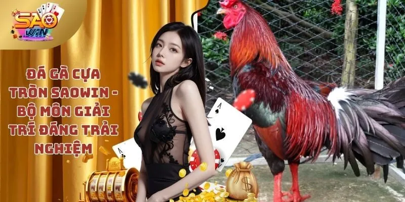 Đá gà cựa tròn SAOWIN